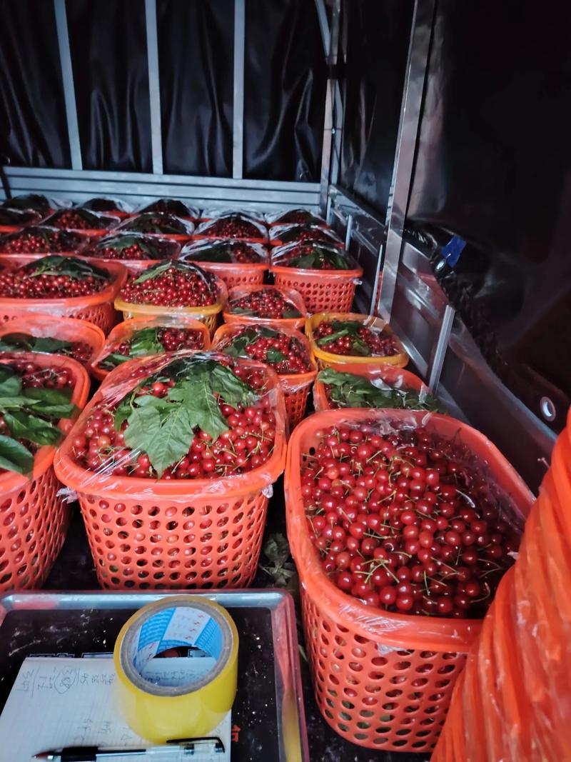 果园直供:破解水果销售难题的秘籍
