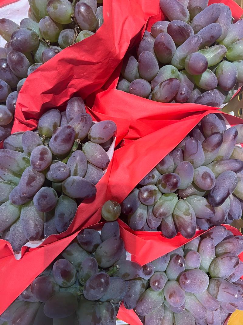 水果种植基地：如何种出甜蜜的果实